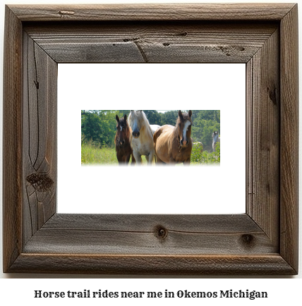 horse trail rides near me in Okemos, Michigan